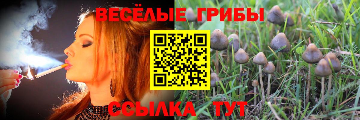 Гашиш Прохладный