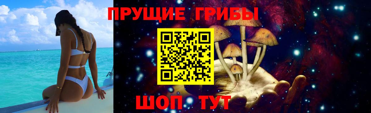 Галлюциногенные грибы MAGIC MUSHROOMS  Вход с VPN  Прохладный 