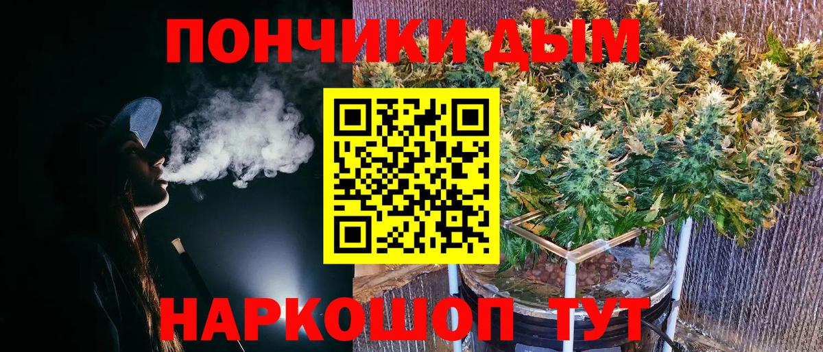 Каннабис индика Прохладный